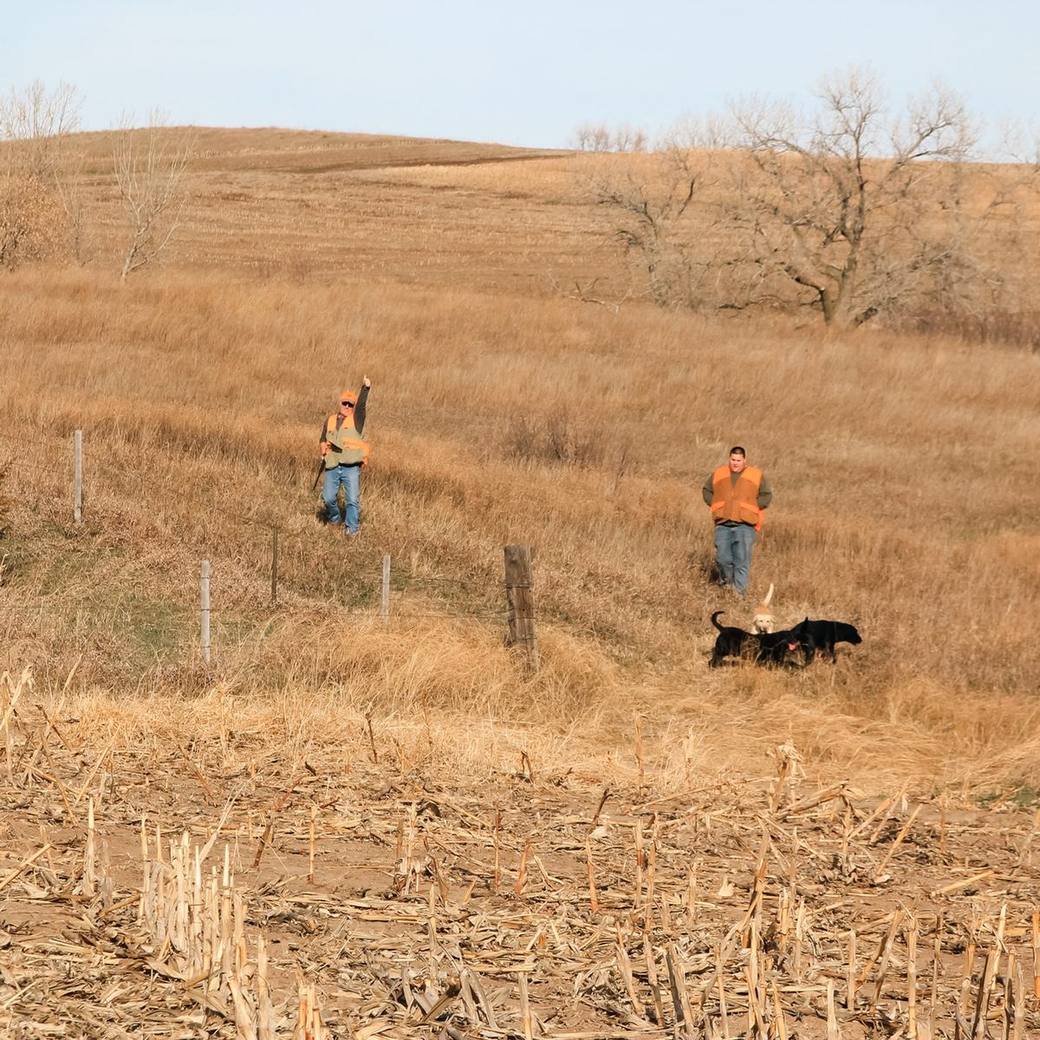 Hunters and a bird dog working a Bolton Ranch hillside