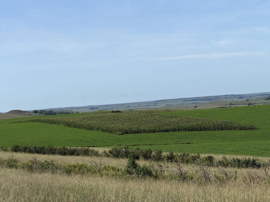 Food plots, CRP and creek bottoms across Bolton Ranch