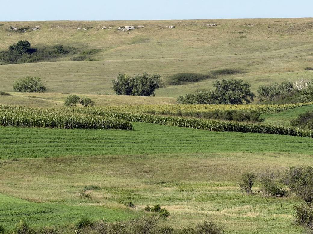 Food plots, CRP and creek bottoms across Bolton Ranch