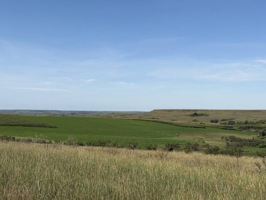 Food plots, CRP and creek bottoms across Bolton Ranch