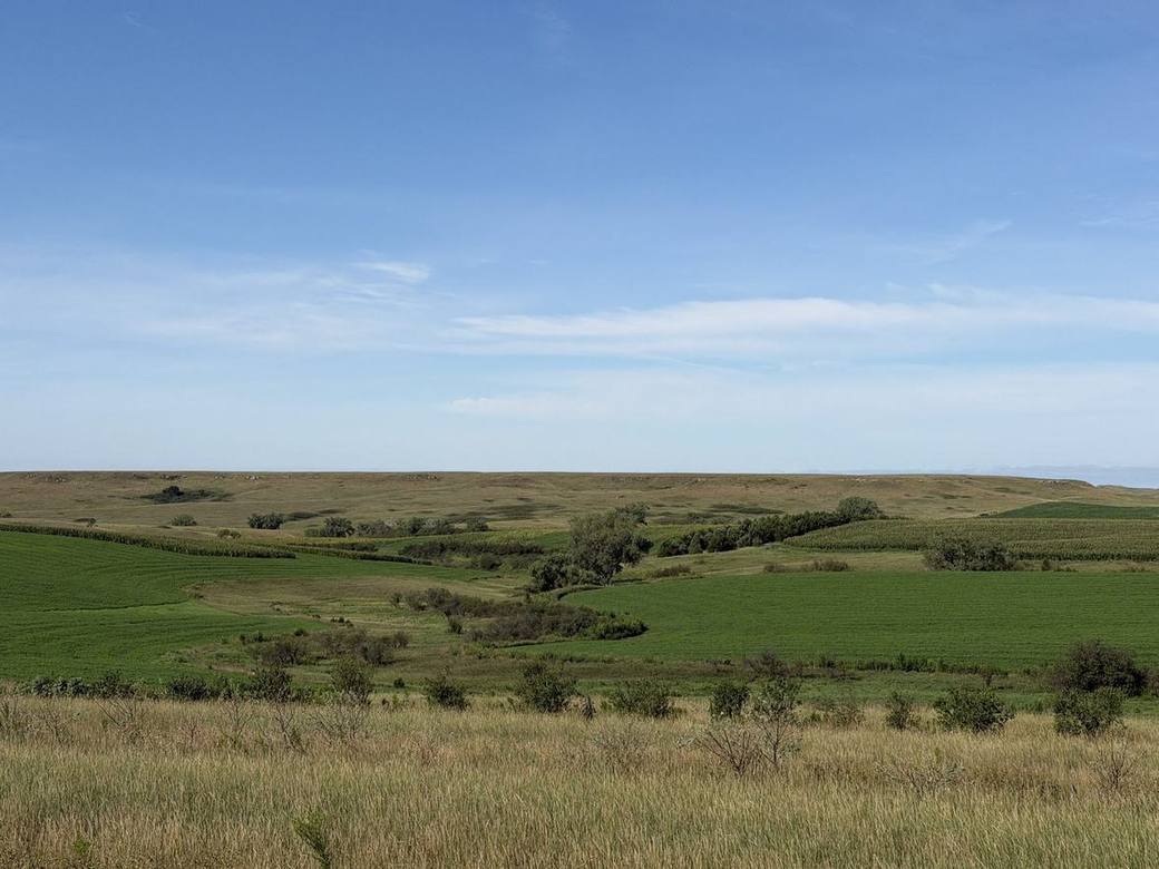 Food plots, CRP and creek bottoms across Bolton Ranch