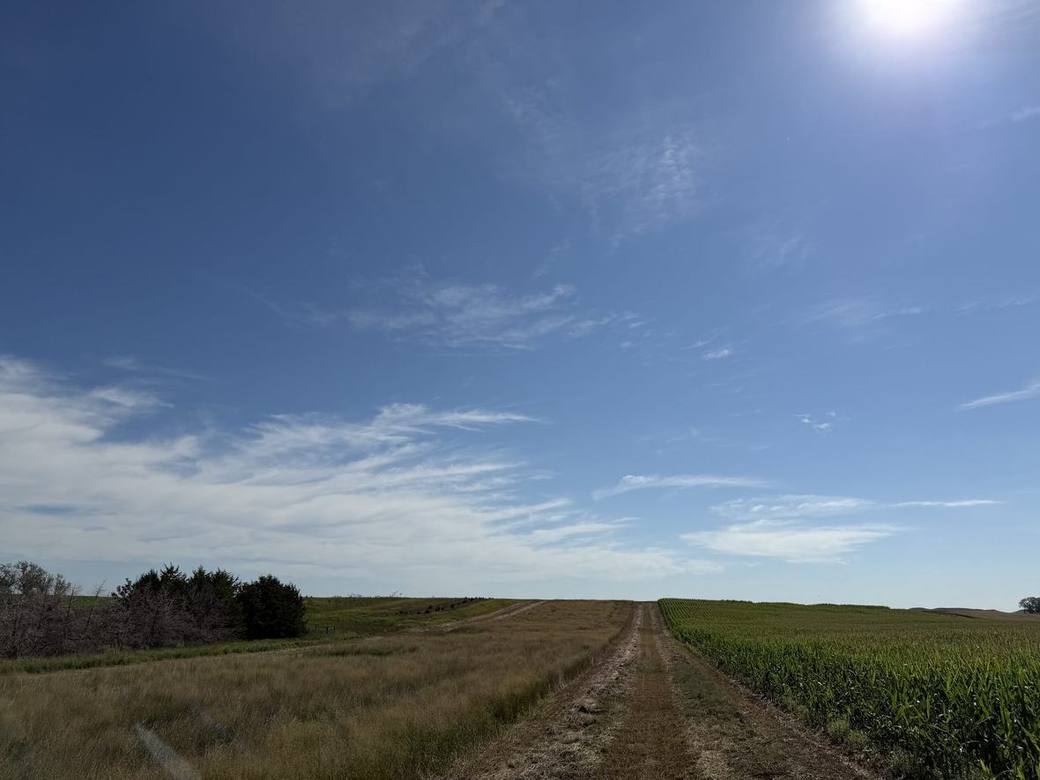 Food plots, CRP and creek bottoms across Bolton Ranch