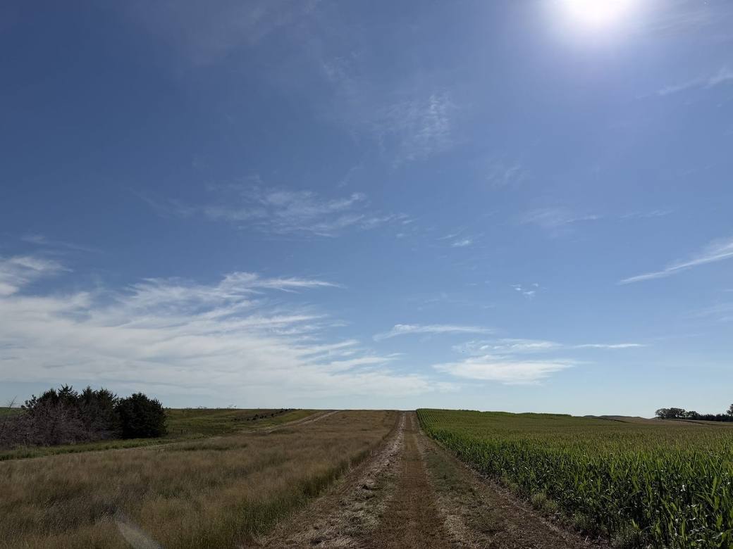 Food plots, CRP and creek bottoms across Bolton Ranch