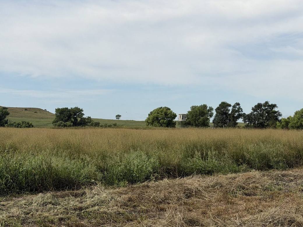 Food plots, CRP and creek bottoms across Bolton Ranch