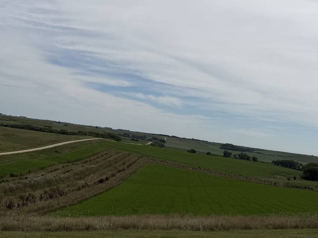 Food plots, CRP and creek bottoms across Bolton Ranch