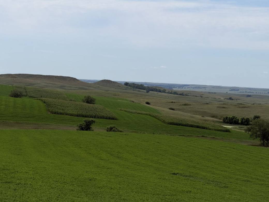Food plots, CRP and creek bottoms across Bolton Ranch